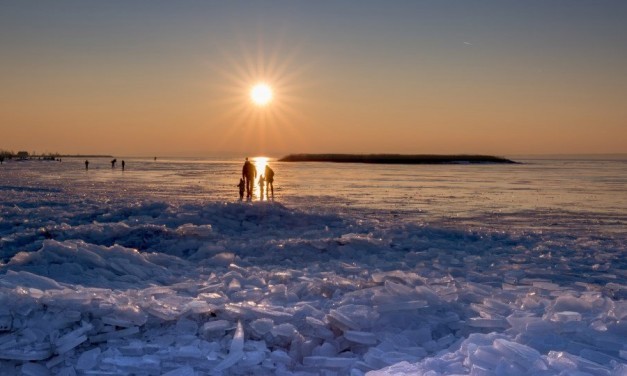 verSUMPFT am Neusiedler See