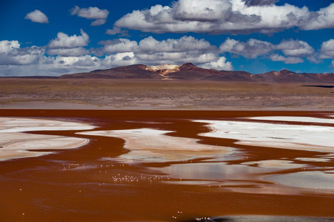 laguna-colorada-1300-x-867