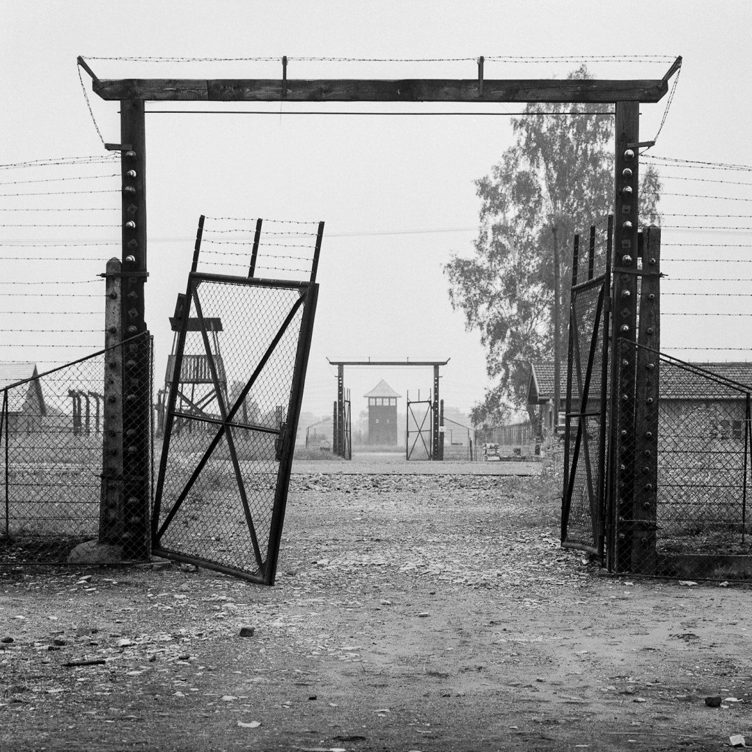 ueberlebt_kh_birkenau_006-1500-x-1500