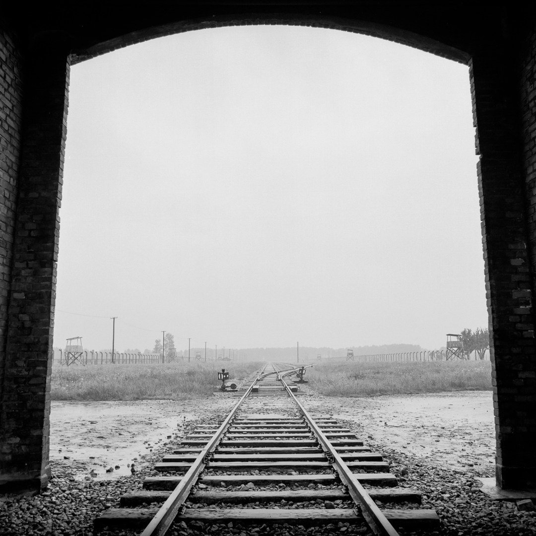 ueberlebt_kh_birkenau_008-1500-x-1500