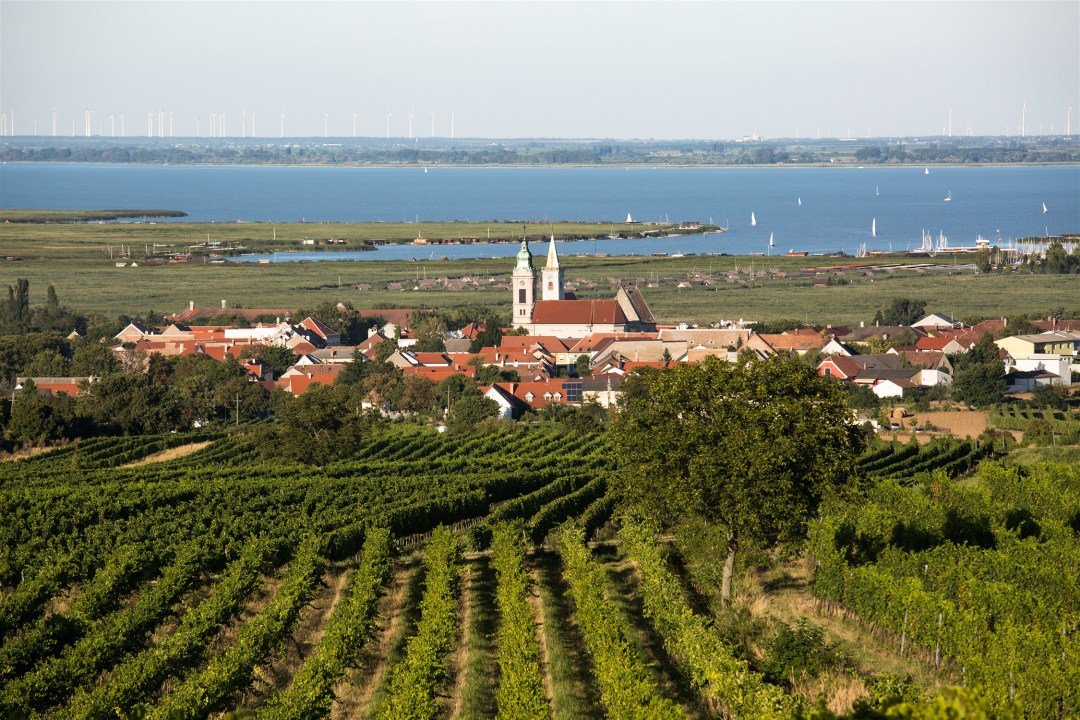 3-blick-von-st-margarethen-berg-auf-rust-2250-x-1500